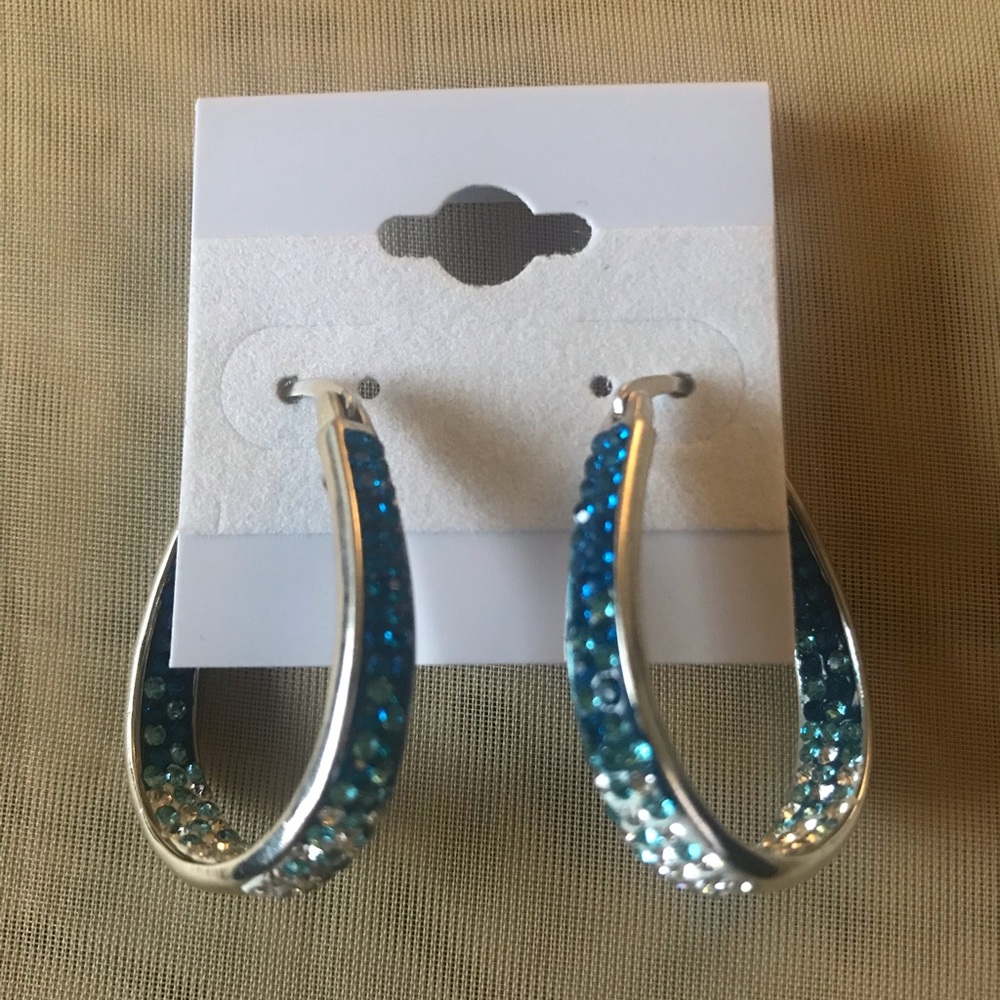 Blue and sliver earrings